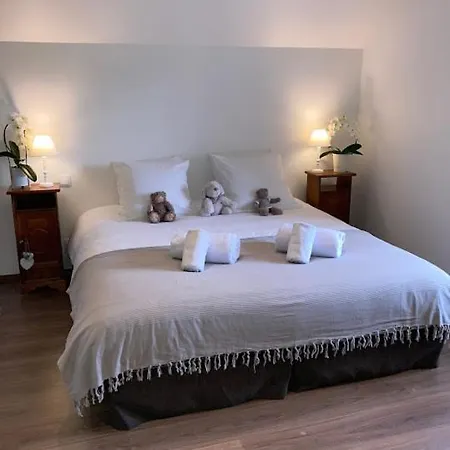 Vila Chez Livia Hautes Vosges *