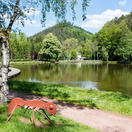 Chez Livia Hautes Vosges Willa *