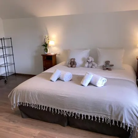 Chez Livia Hautes Vosges Villa Bruyeres