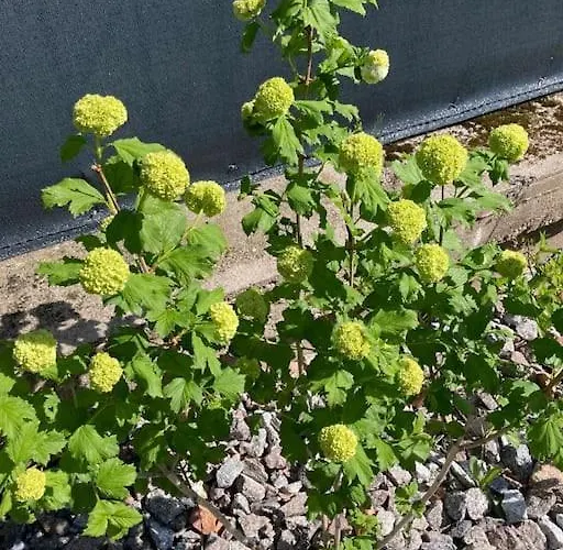 Vila Chez Livia Hautes Vosges *