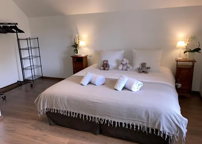 Chez Livia Hautes Vosges Vila Bruyeres