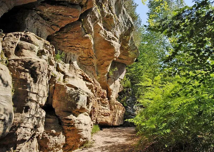 Chez Livia Hautes Vosges Vila *